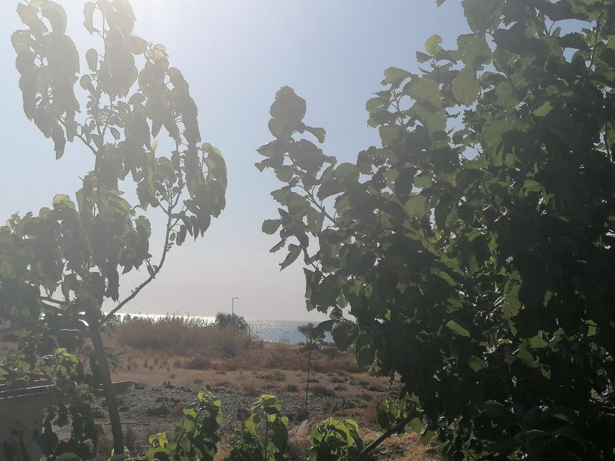 12 senses faliraki sea view Dış mekan fotoğraf